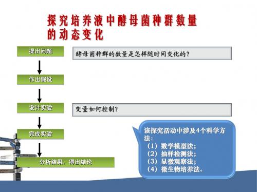 酵母菌实验