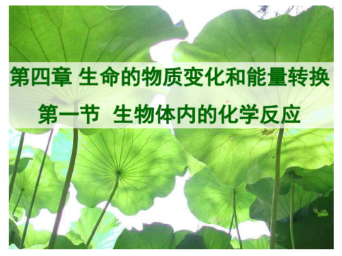 高中生物第四章生命的物质变化和能量转换(课堂PPT)