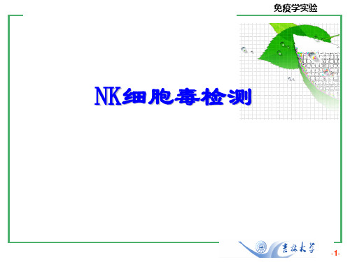 免疫学实验：NK细胞毒检测