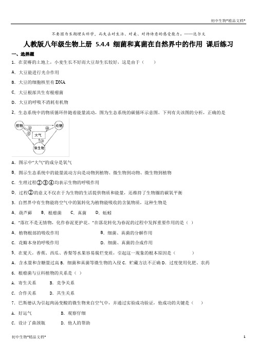 人教版八年级生物上册 5.4.4 细菌和真菌在自然界中的作用 课后练习