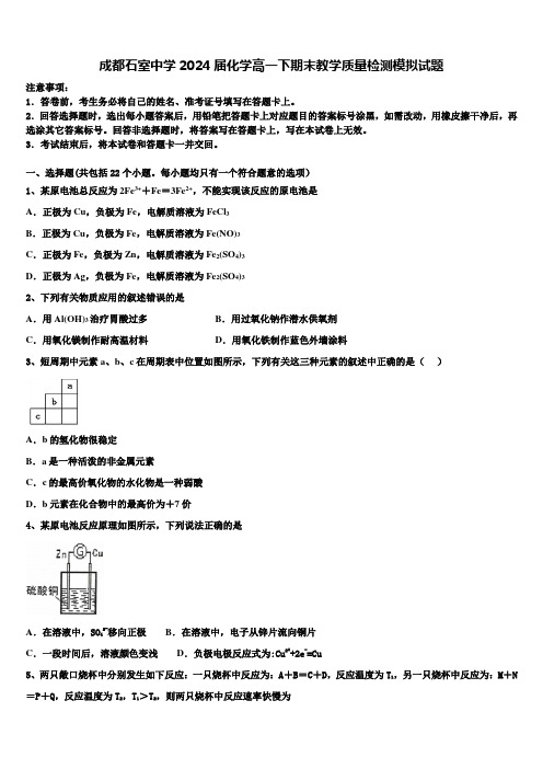 成都石室中学2024届化学高一下期末教学质量检测模拟试题含解析