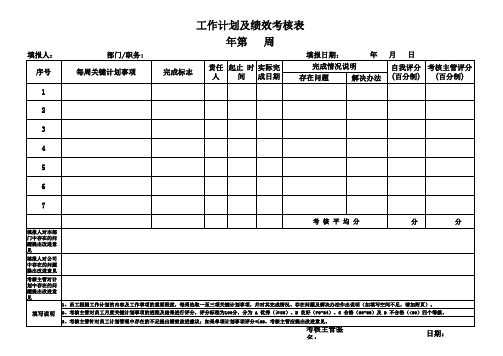 周 日工作计划及绩效考核表