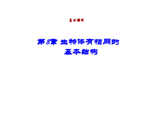 第8章 生物体有相同的基本结构复习课件2021--2022学年苏科版生物七年级下册