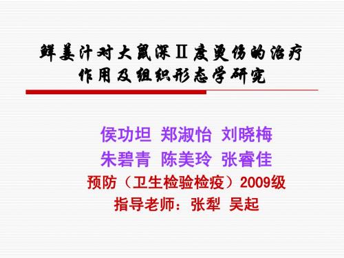鲜姜汁对大鼠深Ⅱ度烫伤的治疗作用及组织形态学研究 侯功坦