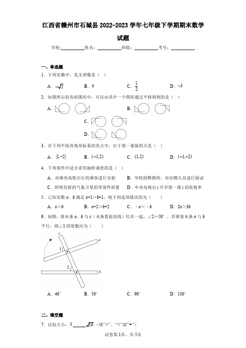 江西省赣州市石城县2022-2023学年七年级下学期期末数学试题