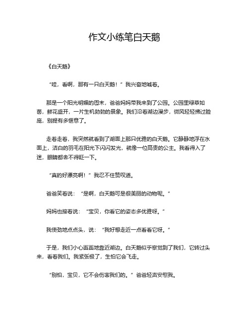 作文小练笔白天鹅