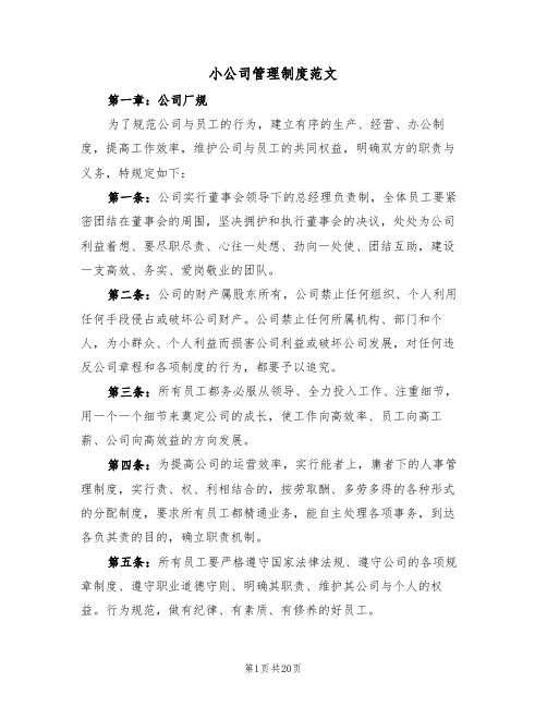 小公司管理制度范文(六篇)