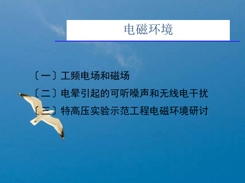 特高压交流输电技术电磁环境篇ppt课件