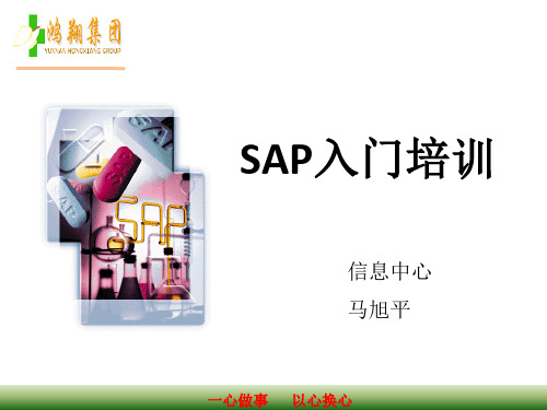 SAP入门培训