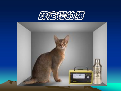 薛定谔的猫