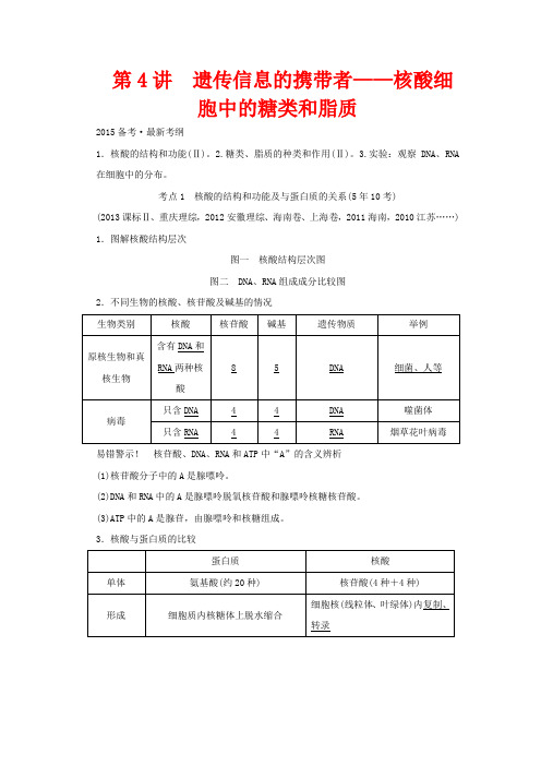 高考生物 第一单元 第4讲 遗传信息的携带者—核酸细胞中的糖类和脂质教学案 必修1