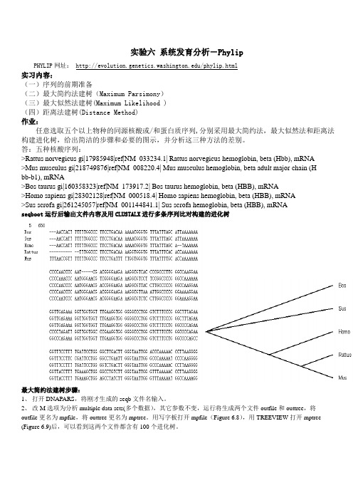 实验六-系统发育分析-Phylip-生物信息学