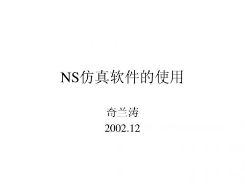 NS软件使用