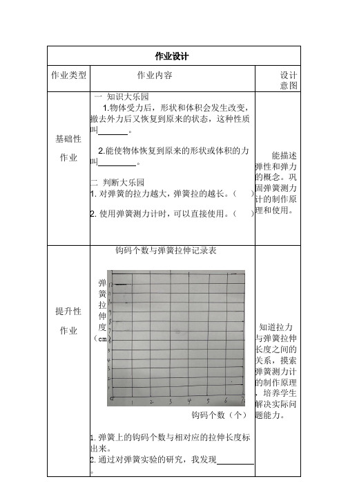 小学科学弹力作业设计