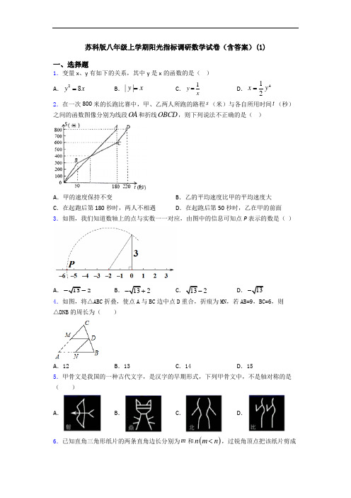 苏科版八年级上学期阳光指标调研数学试卷(含答案)(1)