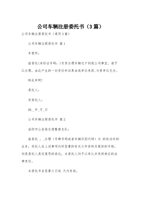 公司车辆注册委托书(3篇)