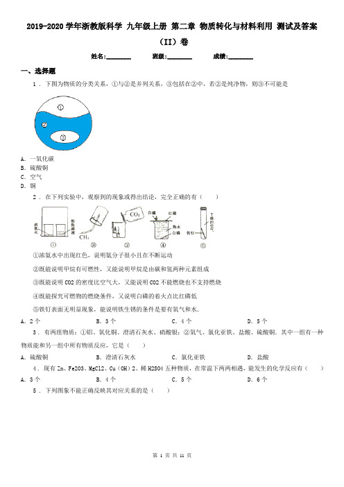 2019-2020学年浙教版科学 九年级上册 第二章 物质转化与材料利用 测试及答案(II)卷