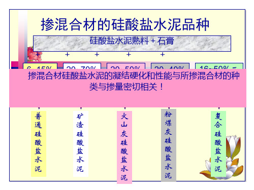 掺混合材料的硅酸盐水泥正式版