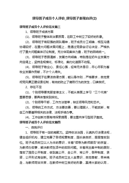 领导班子成员个人评价_领导班子表现自评（2）