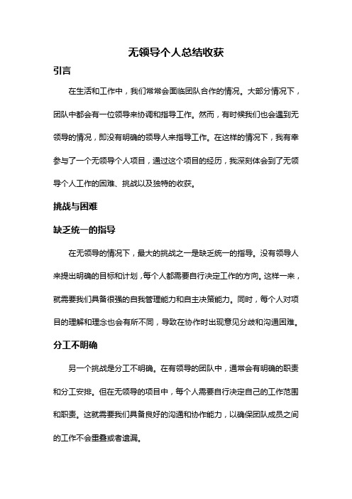 无领导个人总结收获