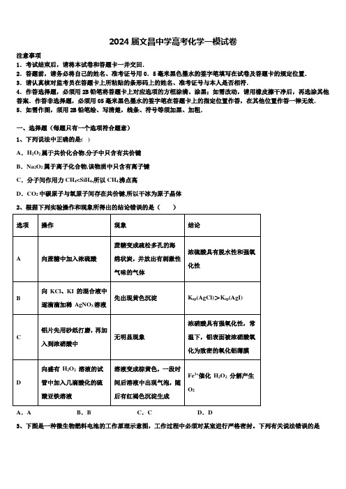 2024届文昌中学高考化学一模试卷含解析