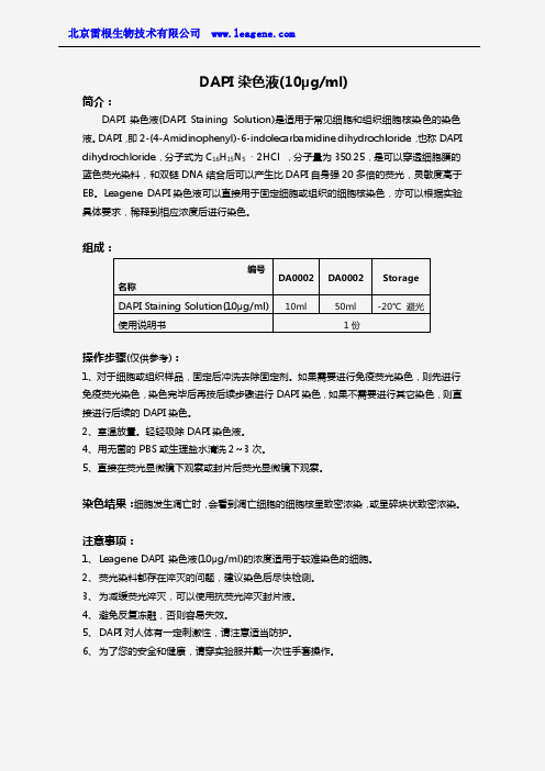 DAPI染色液