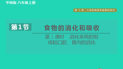 八年级科学上册第5章人体的物质和能量的转化5、1食物的消化和吸收第1课时消化系统的组成和口腔胃内的消