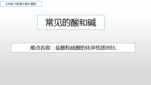 九年级化学下册教学课件-10.1 常见的酸和碱21-人教版