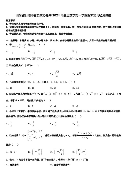 山东省日照市莒县文心高中2024年高三数学第一学期期末复习检测试题含解析