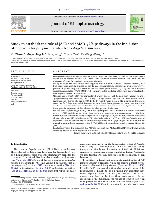 当归多糖抑制铁调素中JAK2和SMAD158通道作用