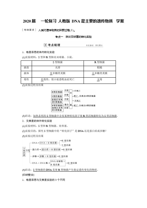 2020年高考   一轮复习 人教版 DNA是主要的遗传物质  学案.doc