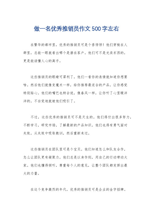 做一名优秀推销员作文500字左右