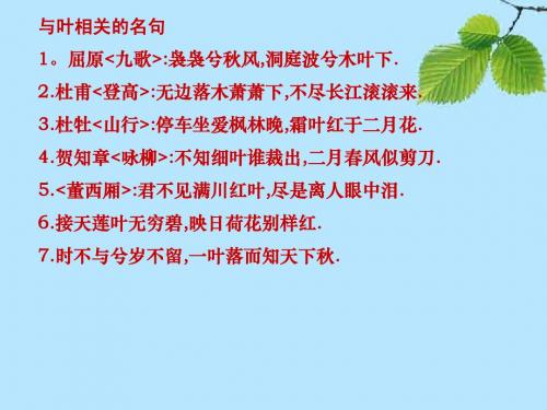 苏教版八年级下册叶专题古诗四首(上课专用)