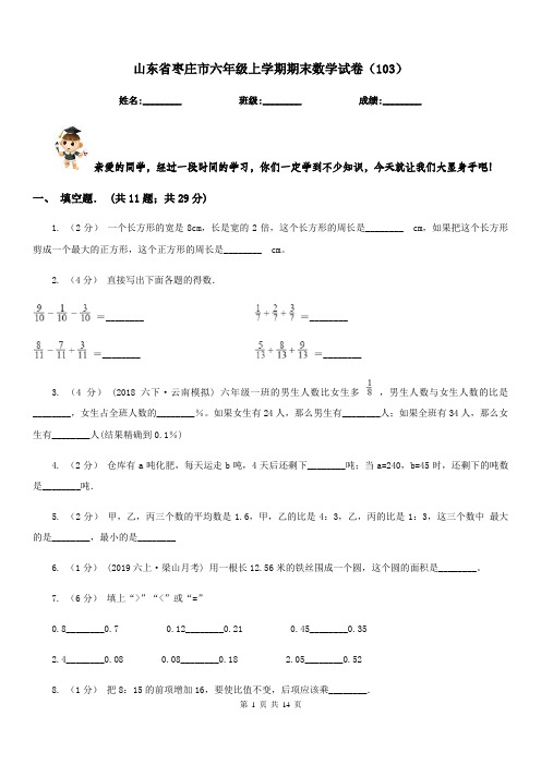 山东省枣庄市六年级上学期期末数学试卷(103)