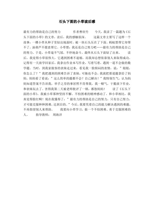 石头下面的小草读后感