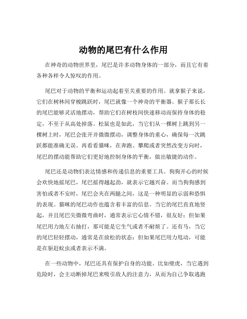 动物的尾巴有什么作用