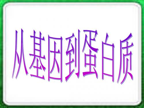 苏教版教学课件从基因到蛋白质课件