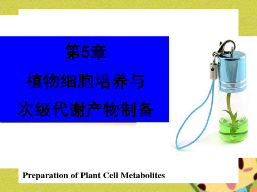 植物细胞培养与次级代谢产物制备