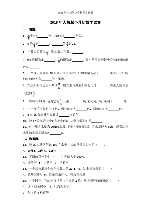 人教版小升初数学试卷