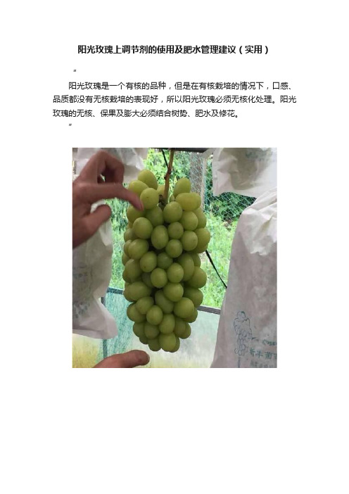 阳光玫瑰上调节剂的使用及肥水管理建议（实用）