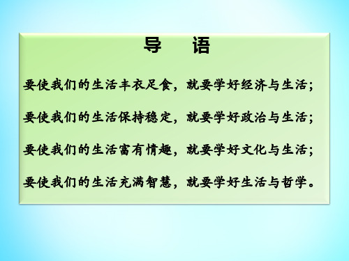 福建省厦门市集美区灌口中学高中政治 1.1.1生活处处有哲学课件 新人教必修4