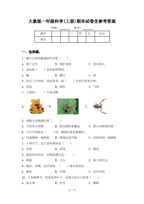 大象版一年级科学(上册)期末试卷含参考答案