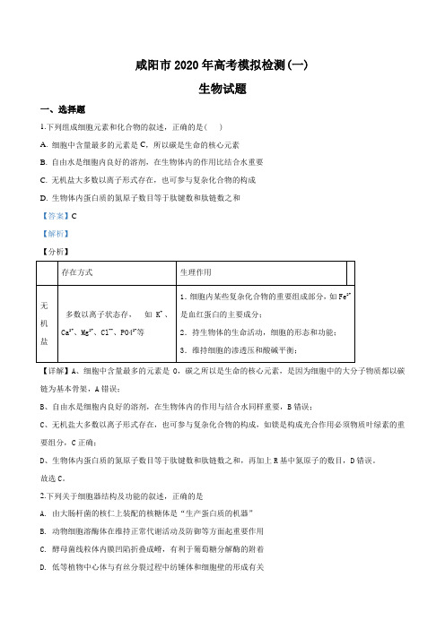 2020届陕西省咸阳市高三上学期期末生物试题(解析版)