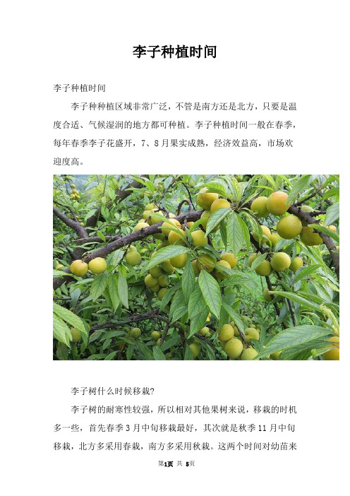 李子种植时间