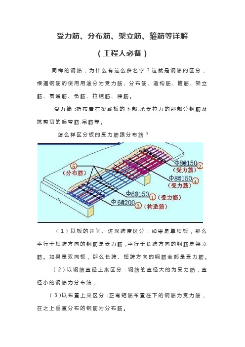 受力筋、分布筋、架立筋、箍筋等详解(工程人必备)