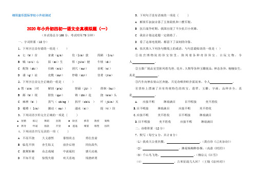 绵阳富乐国际学校  2020年小升初 四初一 语文全真模拟题(一)+完整答案