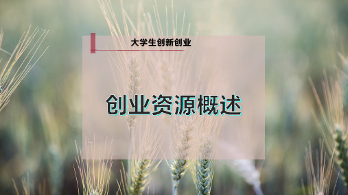 创业资源概述