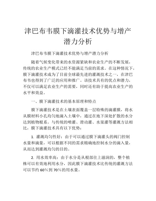 津巴布韦膜下滴灌技术优势与增产潜力分析