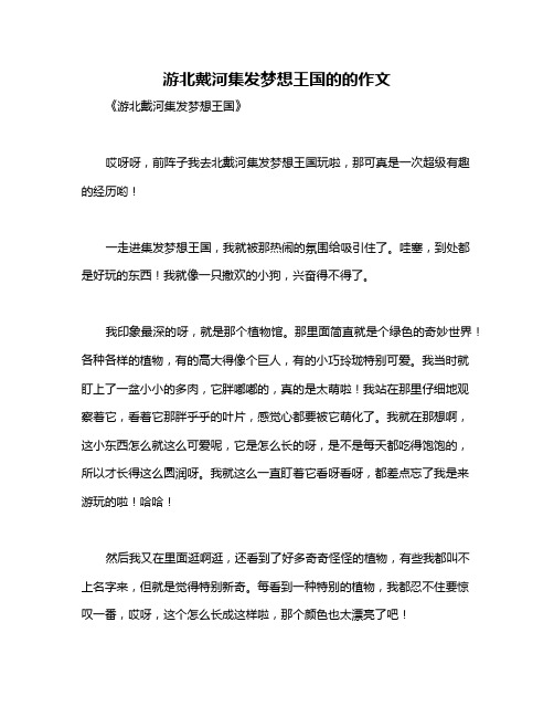 游北戴河集发梦想王国的的作文