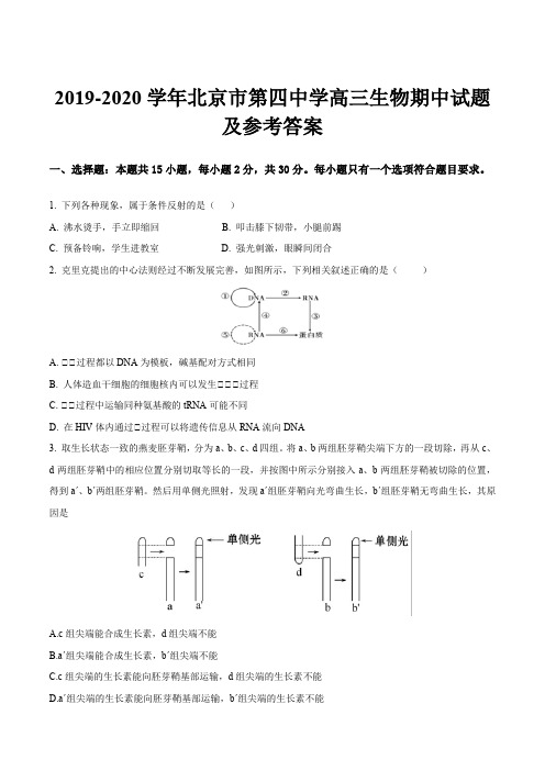 2019-2020学年北京市第四中学高三生物期中试题及参考答案